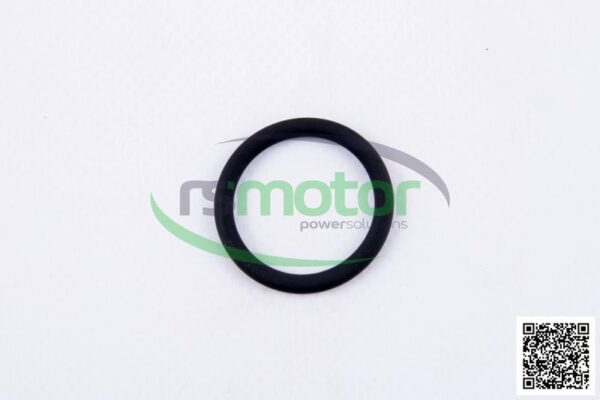 O-seal MWM RS-01180345