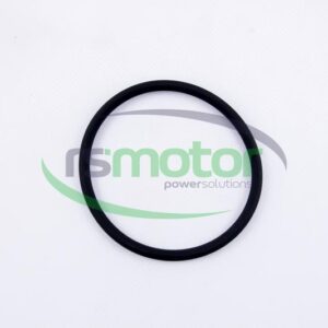 O-seal MWM RS-01180367
