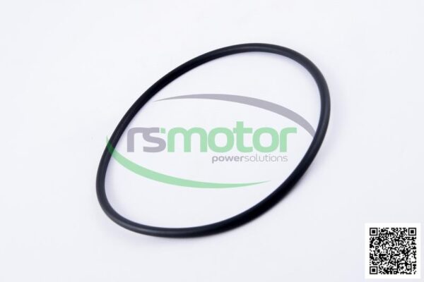 O-seal MWM RS-01180368