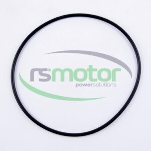 O-seal MWM RS-01180398