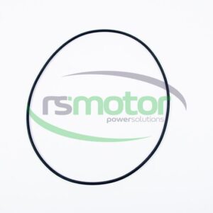 O-seal MWM RS-01180399