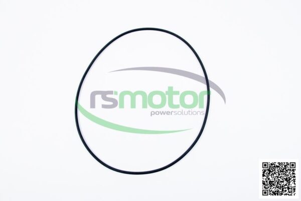O-seal MWM RS-01180399