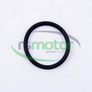 O-seal MWM RS-01180647