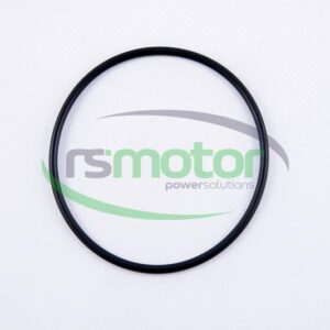O-seal MWM RS-01180772