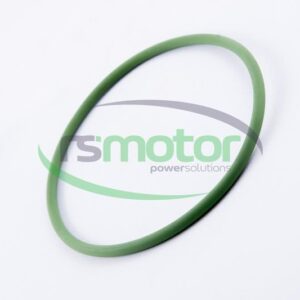 O-seal MWM RS-01180973