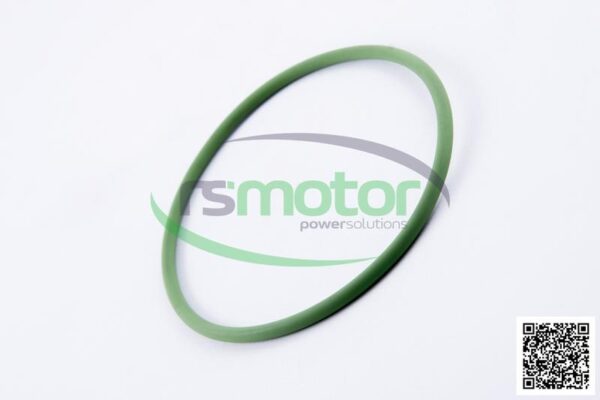 O-seal MWM RS-01180973