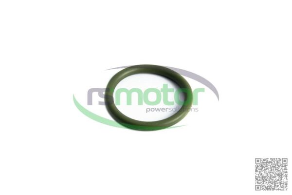O-seal MWM RS-01180993