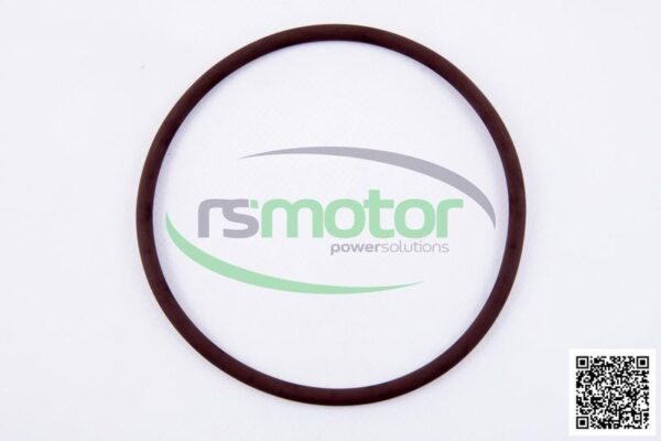 O-seal MWM RS-01181342