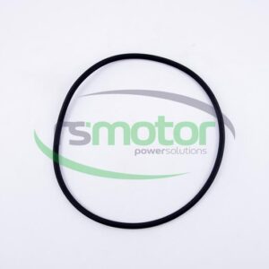 O-seal MWM RS-01181343