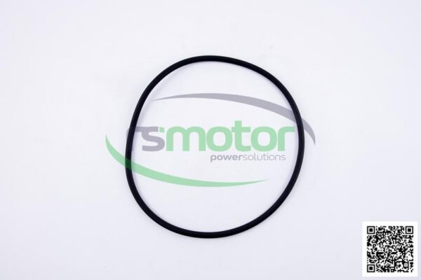 O-seal MWM RS-01181343