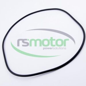 O-Seal MWM RS-01181674