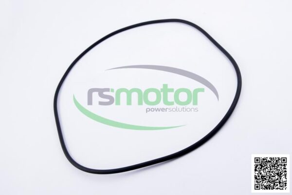 O-Seal MWM RS-01181674