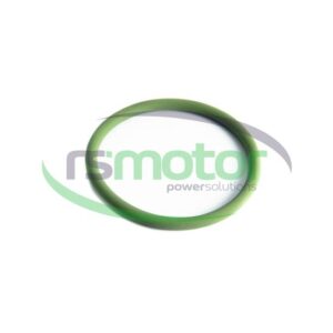O-seal MWM RS-01181871