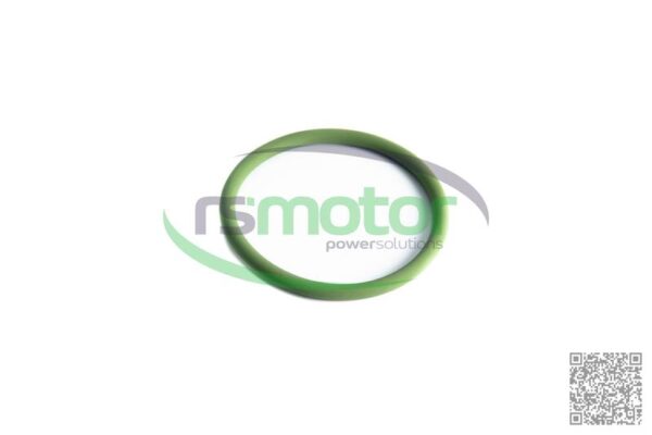 O-seal MWM RS-01181871