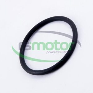 O-seal MWM RS-01181982