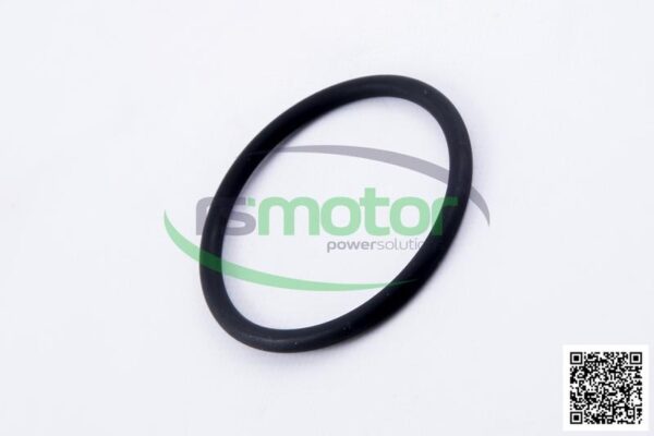 O-seal MWM RS-01181982