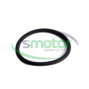 O-seal MWM RS-01182617