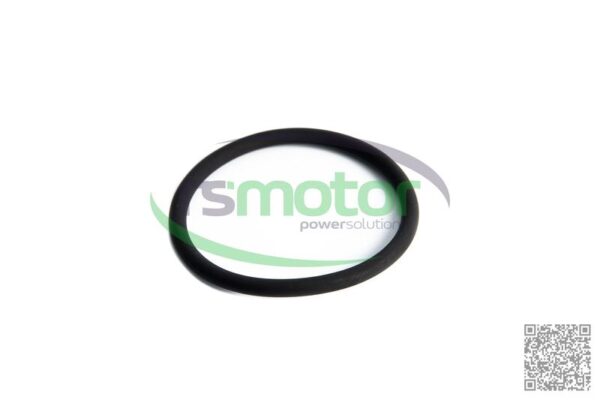 O-seal MWM RS-01182617
