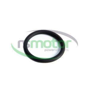 O-seal MWM RS-01183029