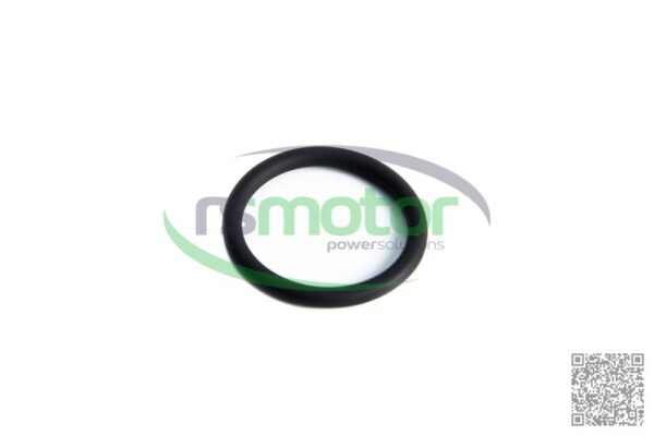 O-seal MWM RS-01183029