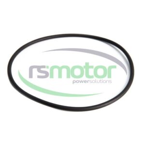 O-seal MWM RS-01183300