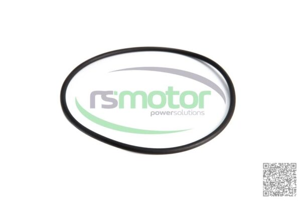 O-seal MWM RS-01183300