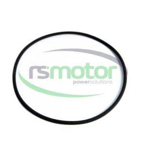 O-seal MWM RS-01183301