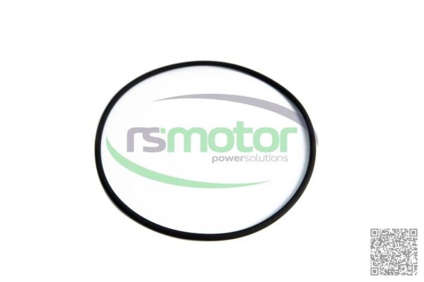 O-seal MWM RS-01183301
