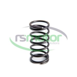 Compression Spring MWM RS-01222009