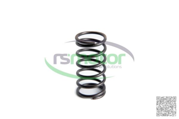 Compression Spring MWM RS-01222009
