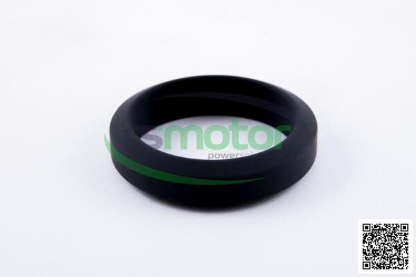 Gasket MWM RS-01321317