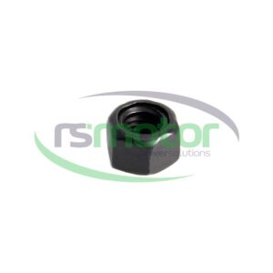 Hexagon Nut MWM RS-01321456