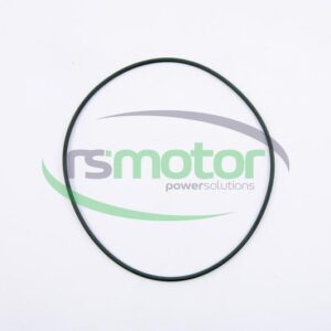 O-seal MWM RS-02092097