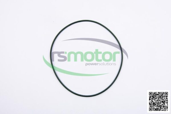 O-seal MWM RS-02092097