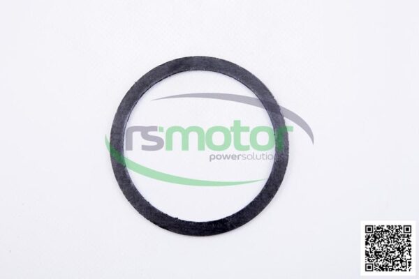 Gasket MWM RS-04032909