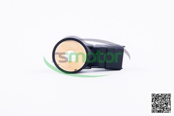 Sensor MWM RS-04269108
