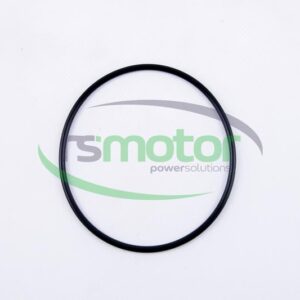O-seal MWM RS-06214769