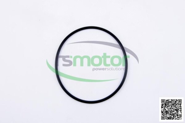 O-seal MWM RS-06214769
