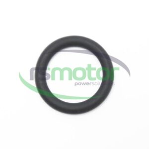 Junta tórica Jenbacher RS-100012