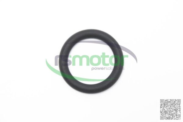O-ring Jenbacher RS-100012