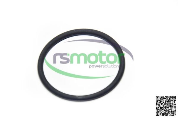 O-ring Jenbacher RS-100013
