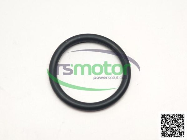 O-ring Jenbacher RS-100014