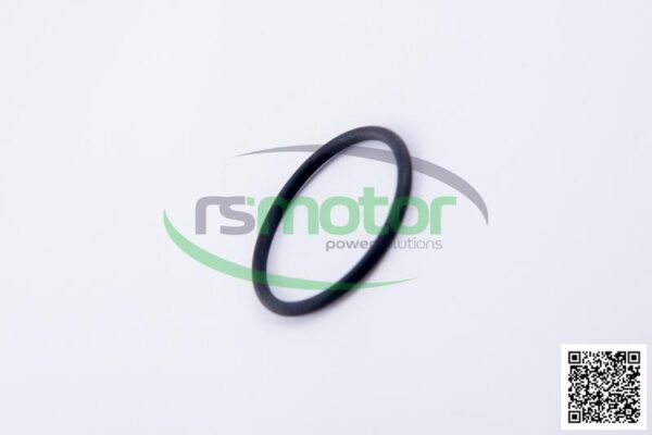 Junta tórica Jenbacher RS-100017