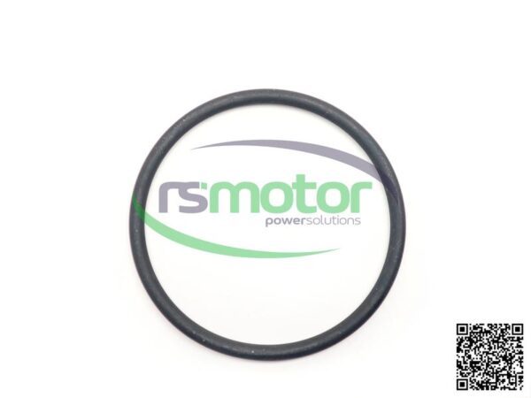 O-ring Jenbacher RS-100019