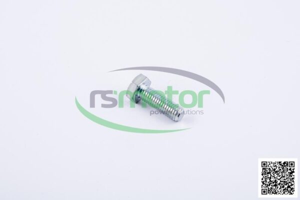 Hexagonal Head Screw Jenbacher RS-100446