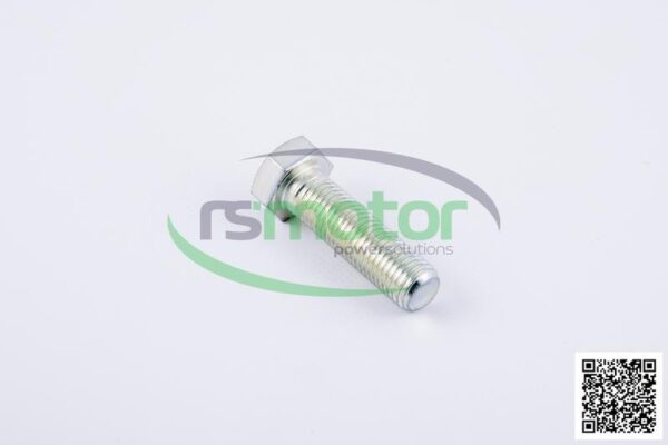 Hexagonal Head Screw Jenbacher RS-100501