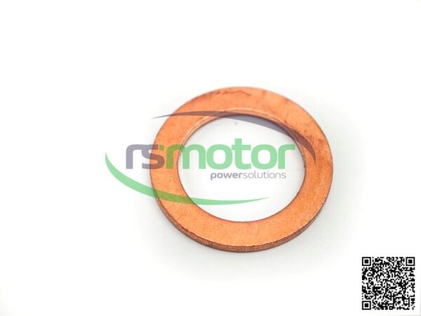 Sealing ring Jenbacher RS-100639