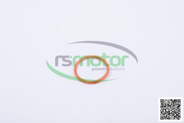 Sealing Ring Jenbacher RS-100829