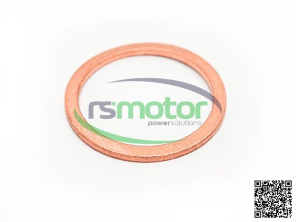 Sealing ring Jenbacher RS-100834