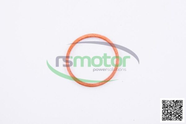 Sealing ring Jenbacher RS-100837